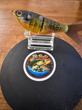 Custom painted glide bait 1 of 1