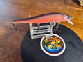 Custom painted 110 jerkbait