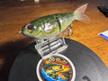 Custom painted glide bait