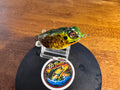 Custom painted wake frog